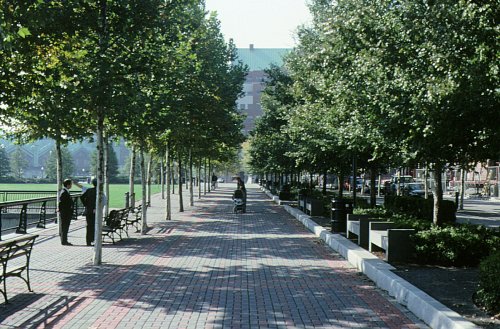 Promenade at Pier A Park